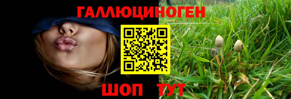 наркошоп  Галлюциногенные грибы Cubensis  Вход с VPN  Кондопога 